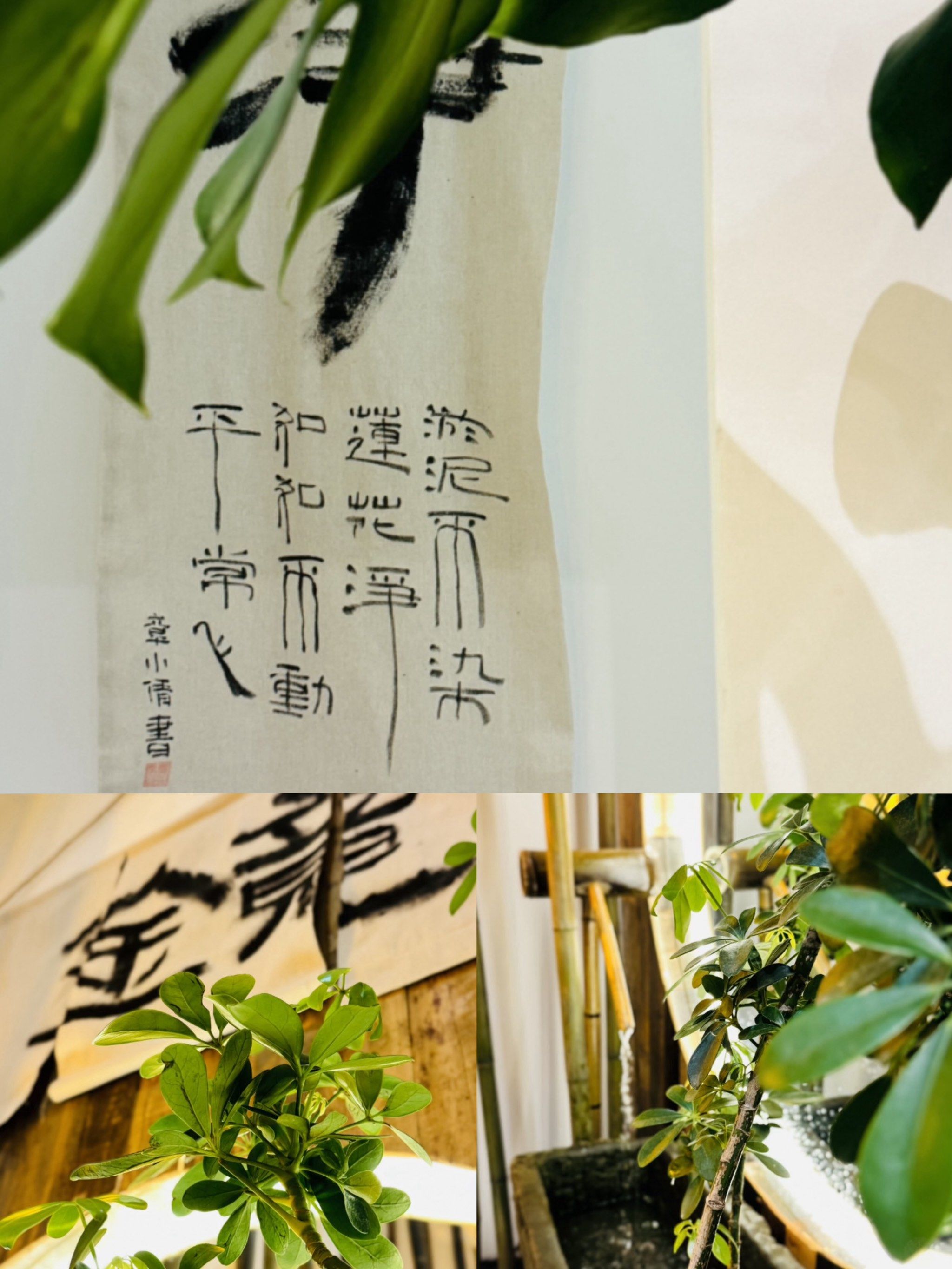 修身养性最佳方法